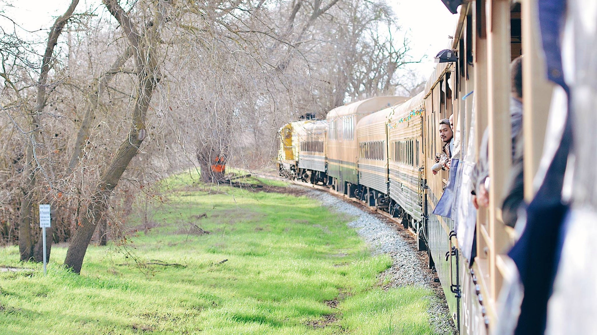 A train moving under winter bare trees